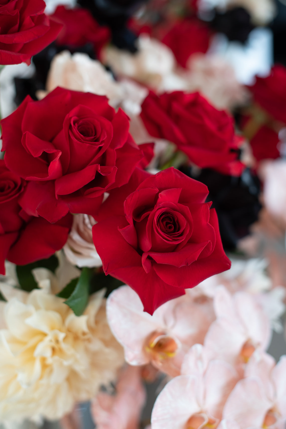 Elegant Valentine's Day flower arrangement with red roses and pastel blooms.