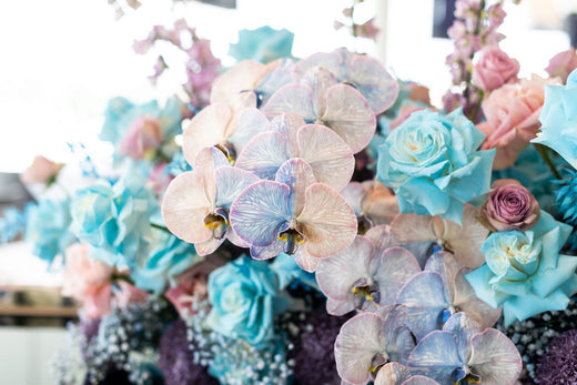 Vibrant pastel orchids and roses at Melbourne's best flower markets.