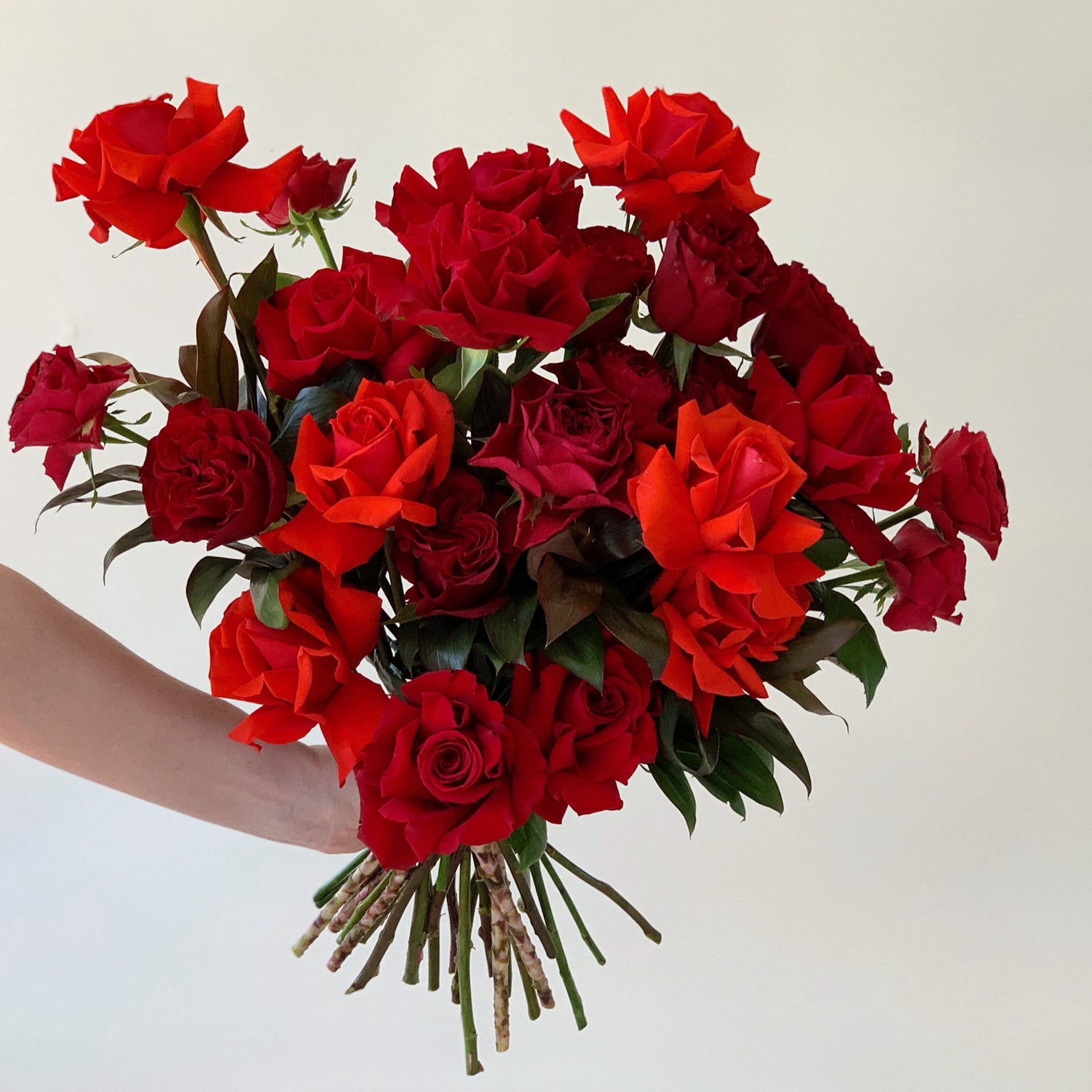 Valentine's Day Red Roses - Herbivore Florals