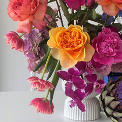 Bright & Playful - Herbivore Florals