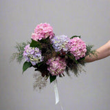 Hydrangea - small bunch - Herbivore Florals