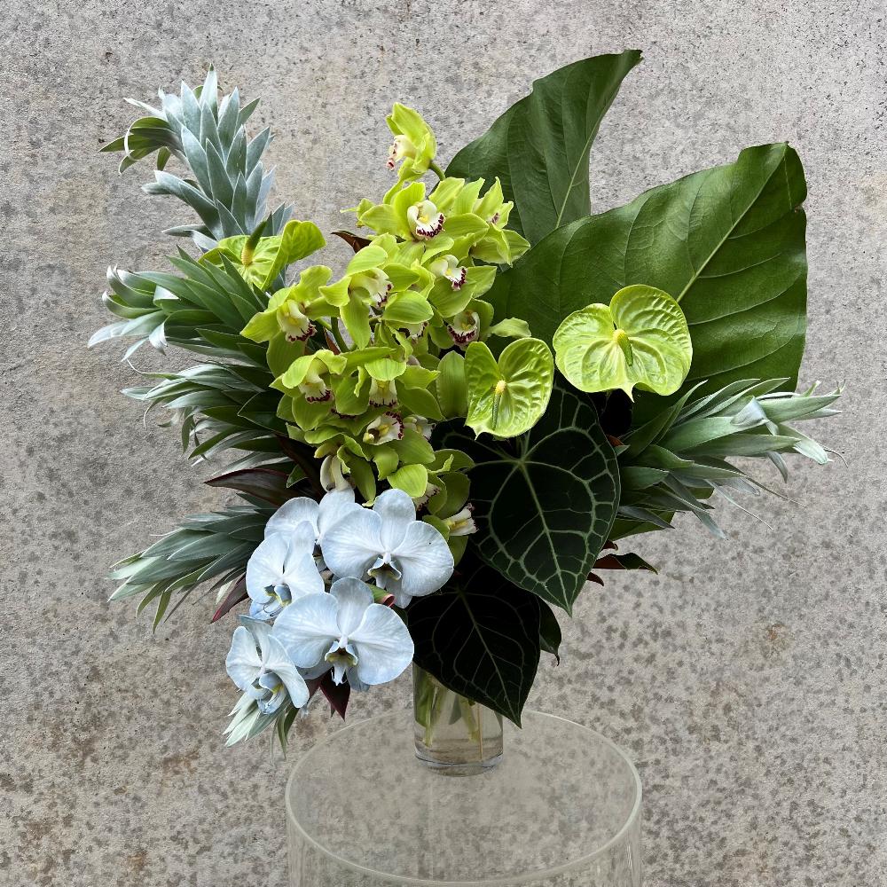 Florist Choice arrangement with green orchids, white anthuriums, and lush greenery in a glass vase. Ideal for Valentine's Day gifting.