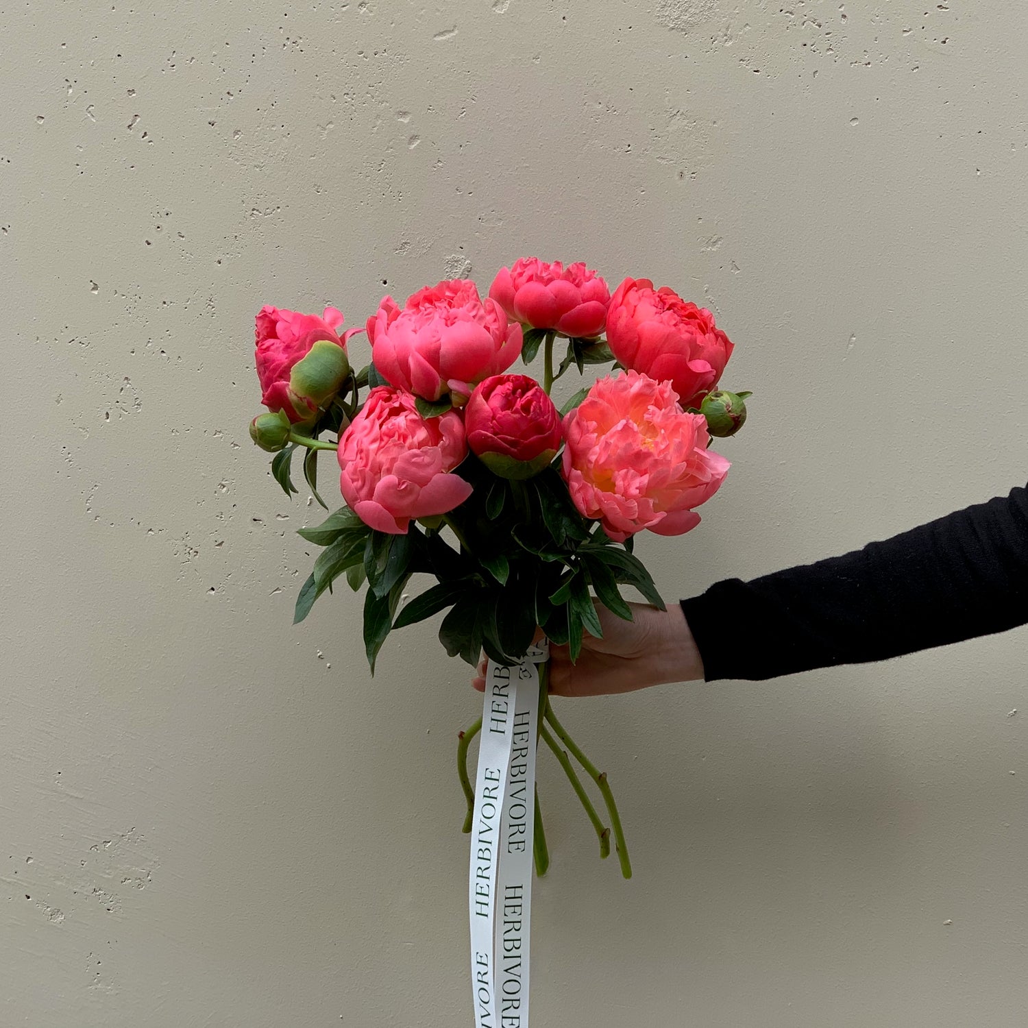 A bouquet of coral charm peonies.