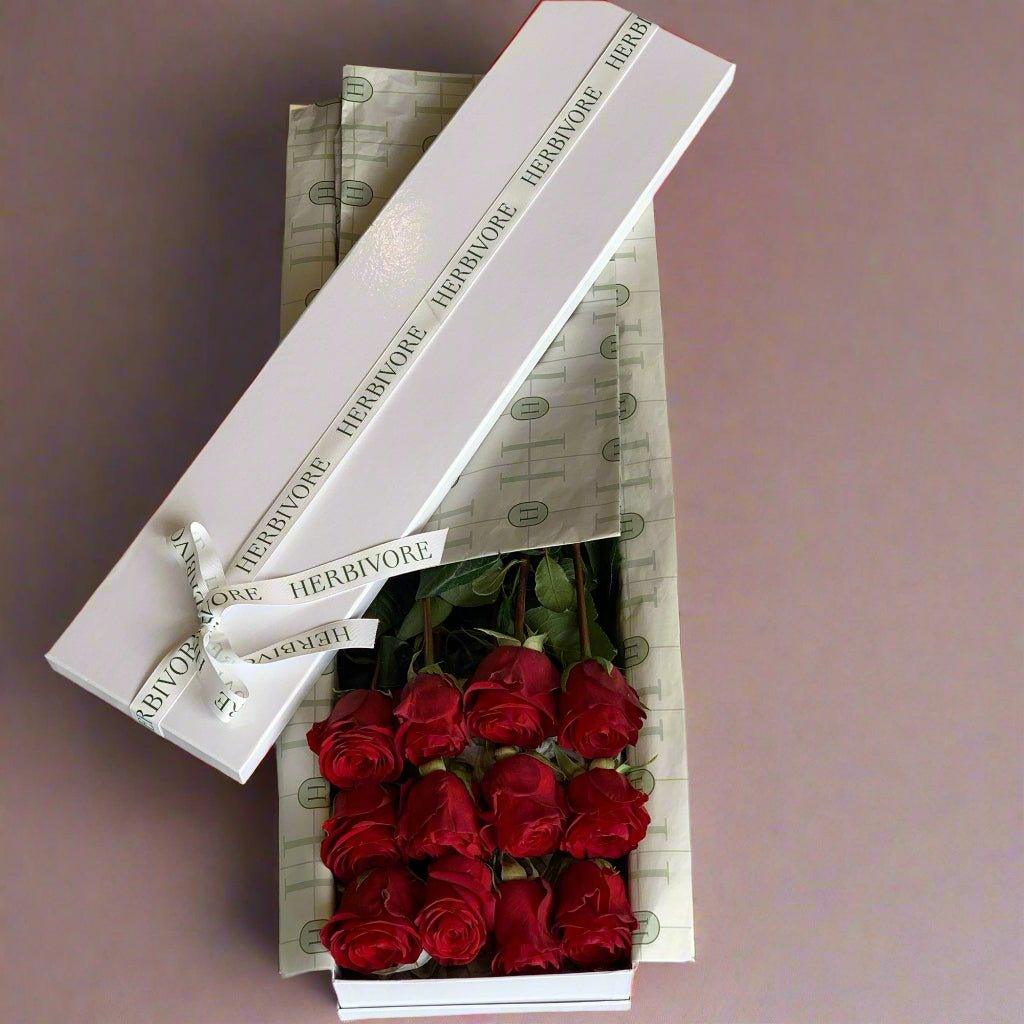 One Dozen Red Rose Presentation - Herbivore Florals